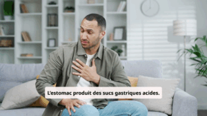 Le processus de la digestion